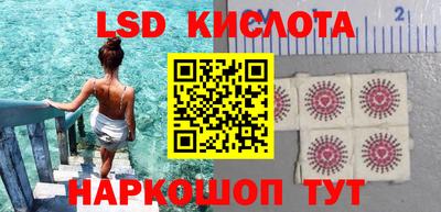 индика Рузаевка