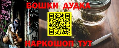 прущие грибы Пыть-Ях