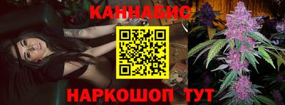 индика Рузаевка