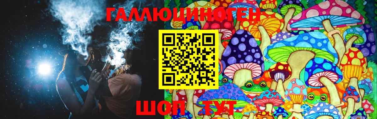 Галлюциногенные грибы Psilocybine cubensis Сосновый Бор