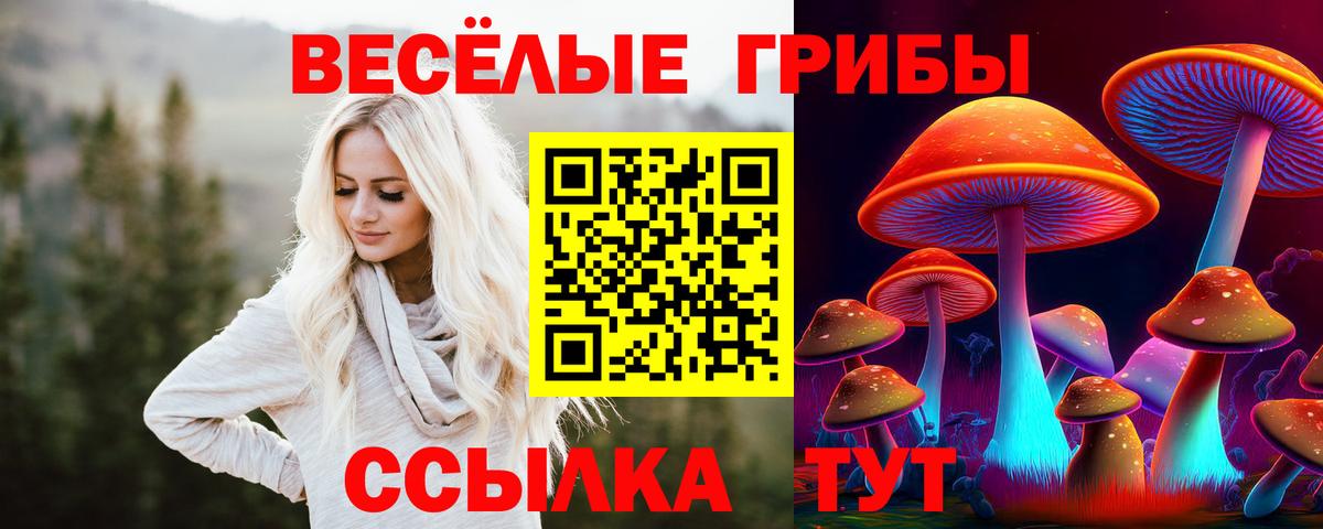 Галлюциногенные грибы GOLDEN TEACHER  Вход с VPN  Сосновый Бор 