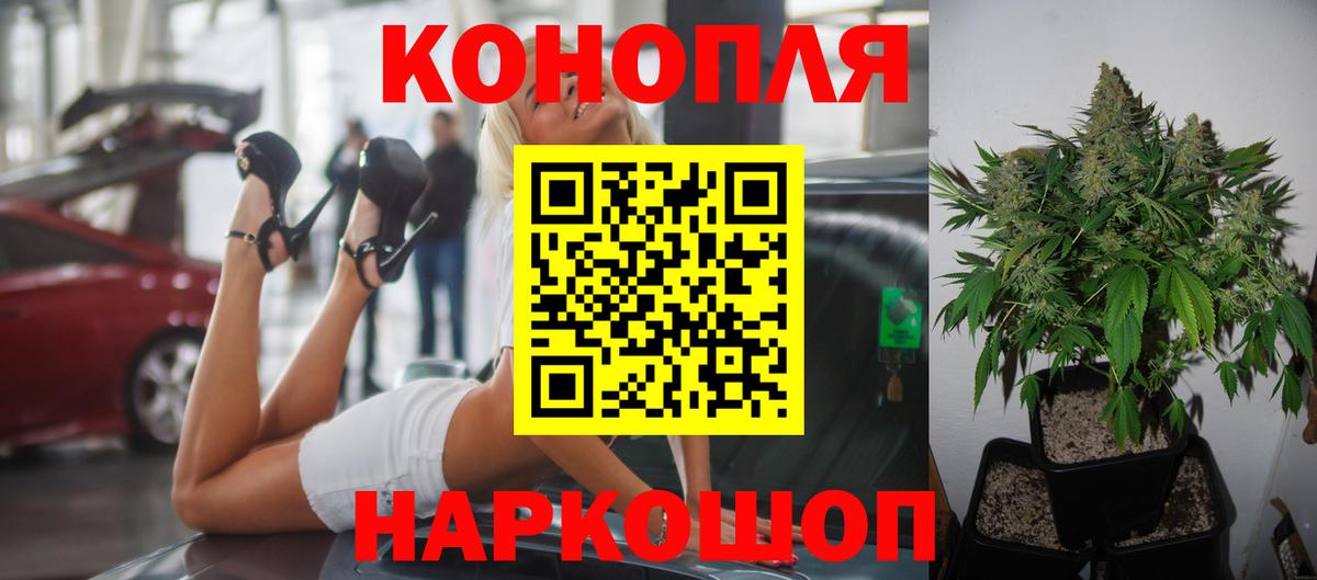 Каннабис конопля  Марихуана семена  Вход с VPN  Сосновый Бор  Конопля Bruce Banner 